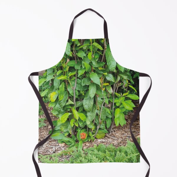 Item preview, Mount Coot-tha Botanic Gardens designed and sold by OCNau.