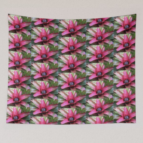 Item preview, Bromeliad Neoregelia designed and sold by Robert Armendariz.