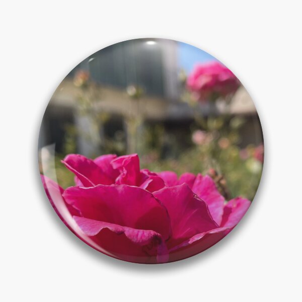 Item preview, Rose at Scripps designed and sold by Pisces-Pics.