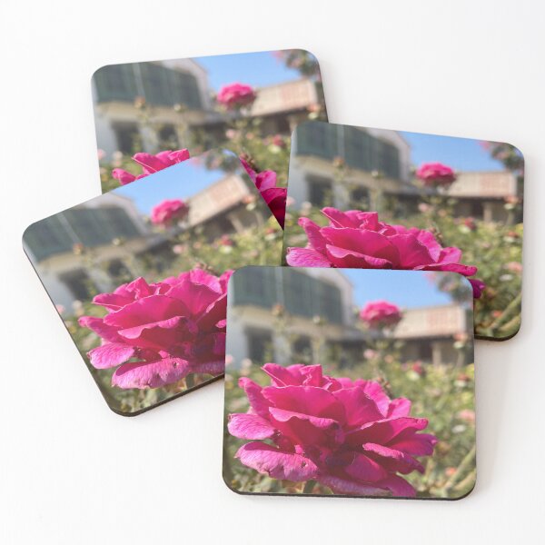 Item preview, Rose at Scripps designed and sold by Pisces-Pics.