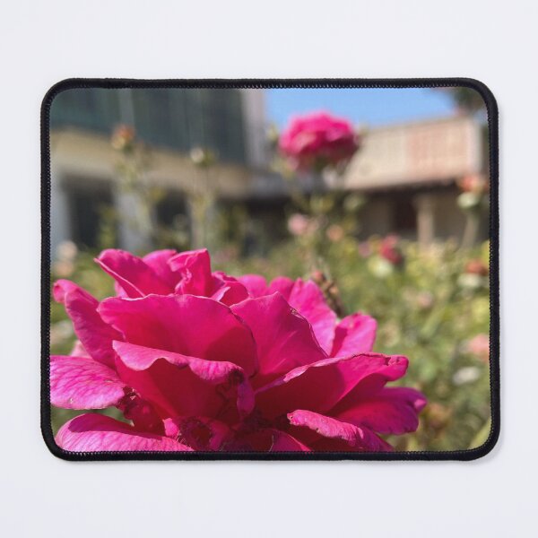 Item preview, Rose at Scripps designed and sold by Pisces-Pics.