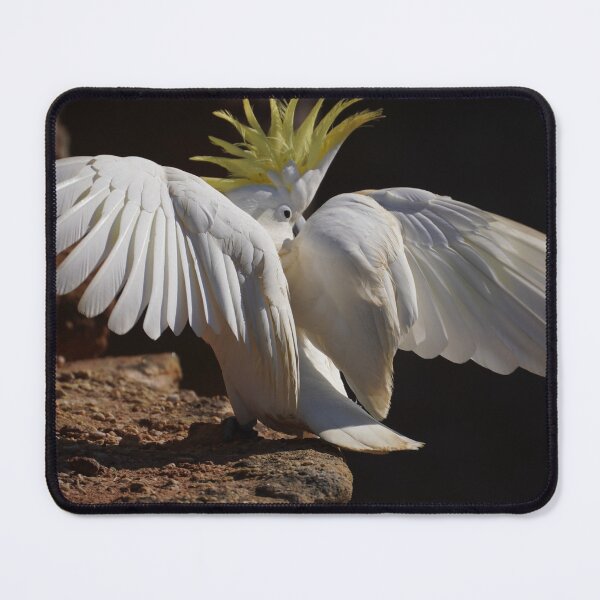 Item preview, All Wings and Feathers designed and sold by Annalucia.