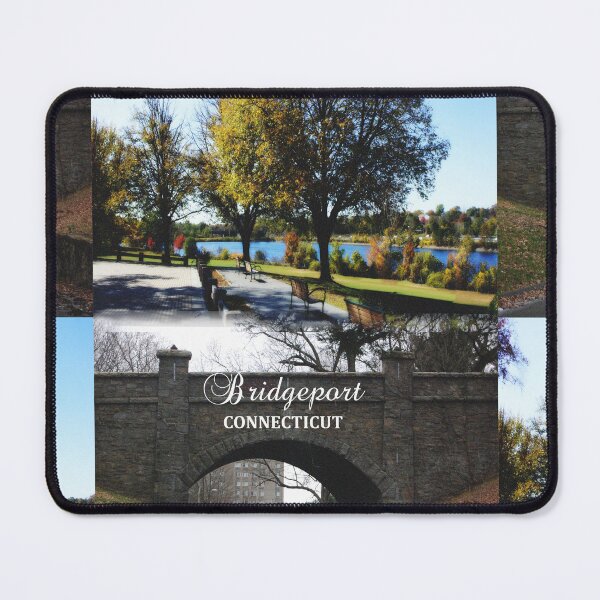 Item preview, Bridgeport, Connecticut - Classic Park & Stone Bridge designed and sold by leemcnut.