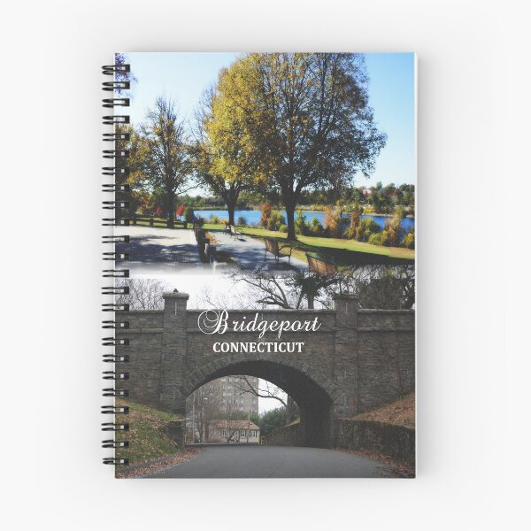 Item preview, Bridgeport, Connecticut - Classic Park & Stone Bridge designed and sold by leemcnut.