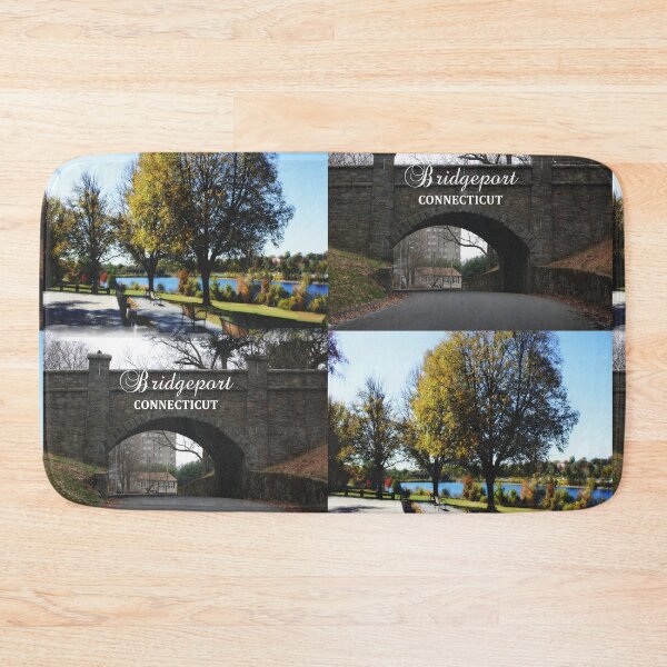 Item preview, Bridgeport, Connecticut - Classic Park & Stone Bridge designed and sold by leemcnut.