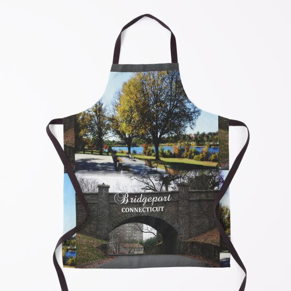 Item preview, Bridgeport, Connecticut - Classic Park & Stone Bridge designed and sold by leemcnut.