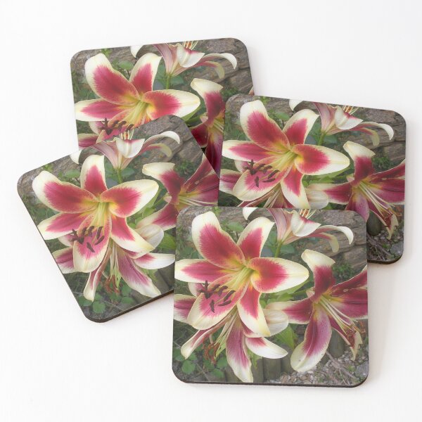 Item preview, Stargazer Lilies In Martock designed and sold by lezvee.