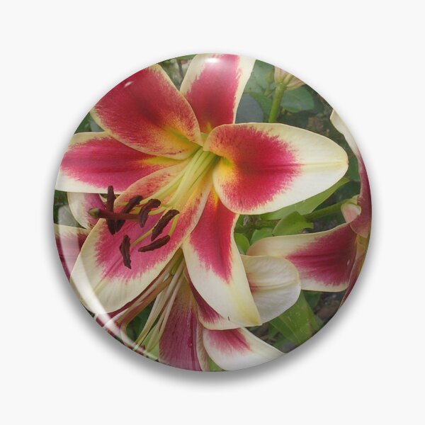Item preview, Stargazer Lilies In Martock designed and sold by lezvee.