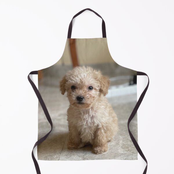 Item preview, LUCRECIA designed and sold by RAFAEL GLUCKSTERN.