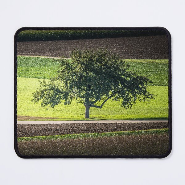 Item preview, Tree in the landscape designed and sold by KNBS.