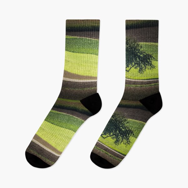 Item preview, Tree in the landscape designed and sold by KNBS.