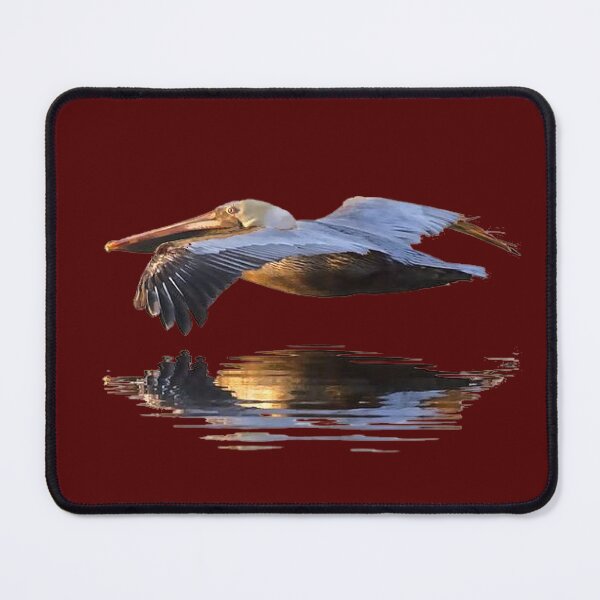 Item preview, JUST OUT CRUISIN designed and sold by THE AMERICAN TEEVANGELIST.