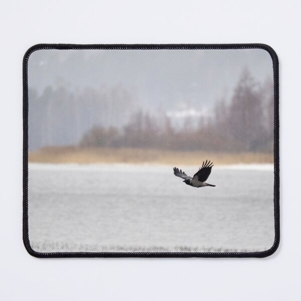 Item preview, Muted colors of Kulovesi spring. Hooded crow designed and sold by Jouko Lehto Photography.