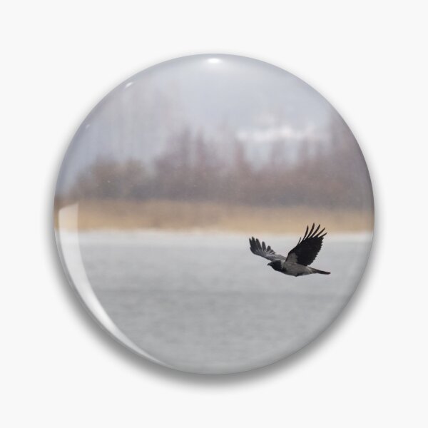 Item preview, Muted colors of Kulovesi spring. Hooded crow designed and sold by Jouko Lehto Photography.