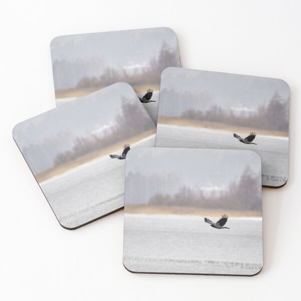 Item preview, Muted colors of Kulovesi spring. Hooded crow designed and sold by Jouko Lehto Photography.