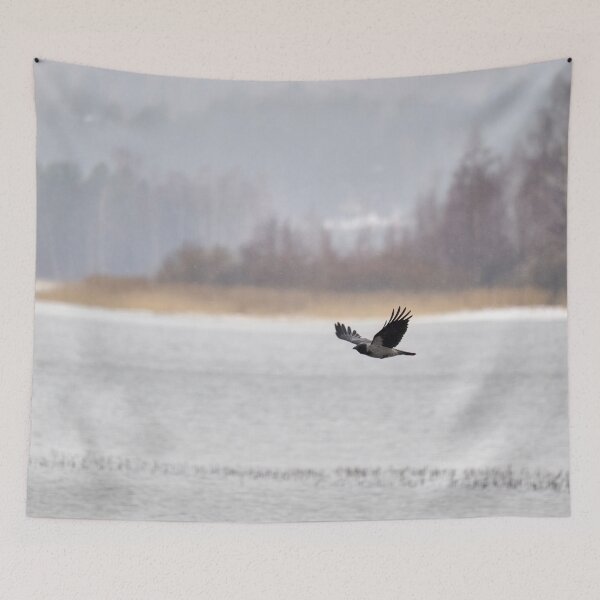 Item preview, Muted colors of Kulovesi spring. Hooded crow designed and sold by Jouko Lehto Photography.