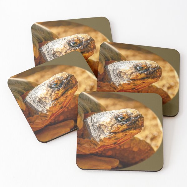 Item preview, Just Dozing in the Sunshine designed and sold by Dalyndigital Photography.
