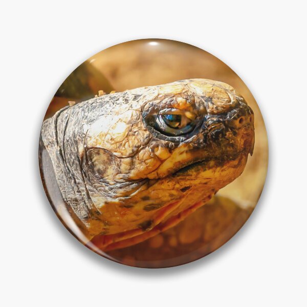 Item preview, Just Dozing in the Sunshine designed and sold by Dalyndigital Photography.