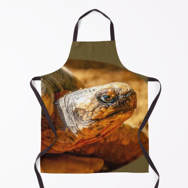 Item preview, Just Dozing in the Sunshine designed and sold by Dalyndigital Photography.