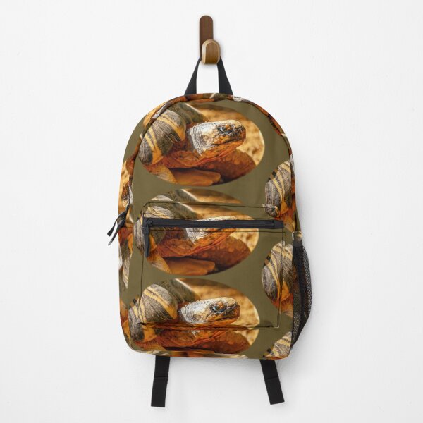 Item preview, Just Dozing in the Sunshine designed and sold by Dalyndigital Photography.