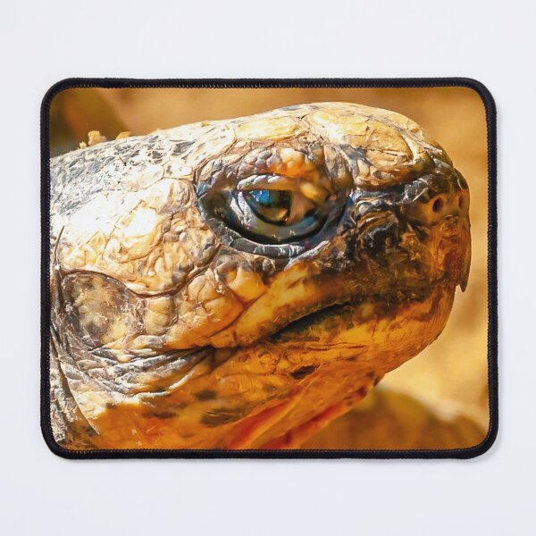 Item preview, Just Dozing in the Sunshine designed and sold by Dalyndigital Photography.