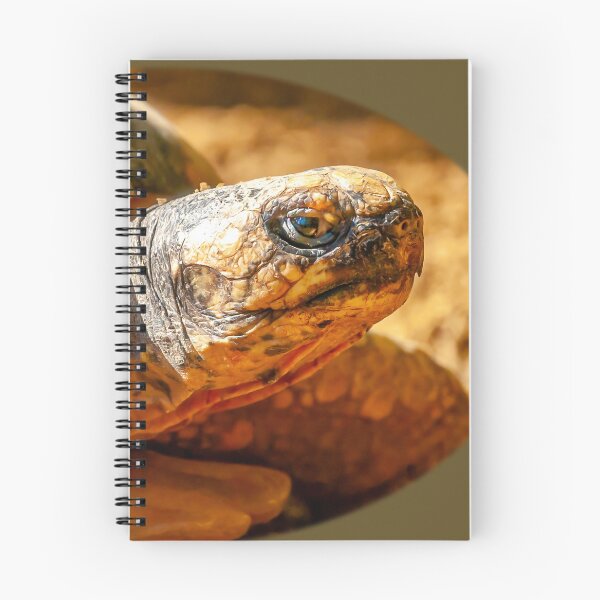 Item preview, Just Dozing in the Sunshine designed and sold by Dalyndigital Photography.