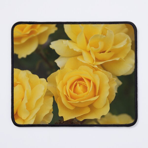 Item preview, Yellow Roses designed and sold by SunsetFirefly.
