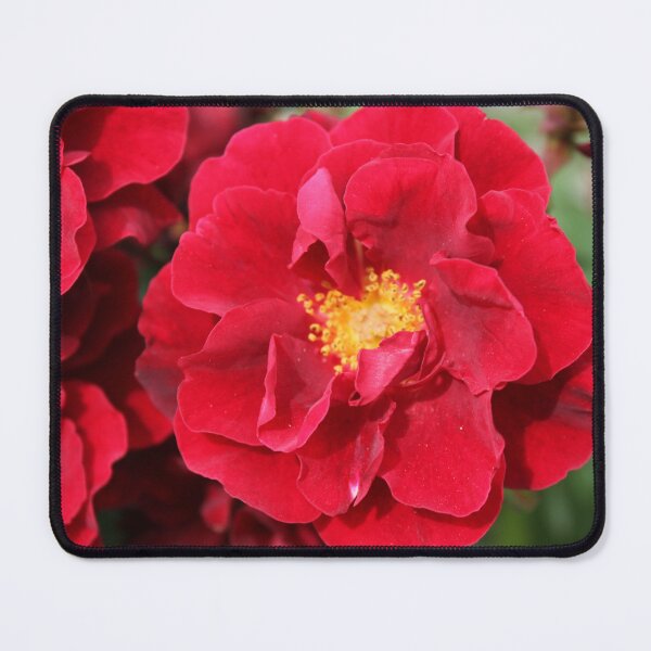 Item preview, Red Roses designed and sold by SunsetFirefly.