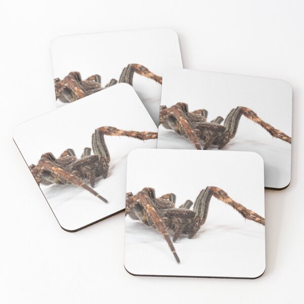 Item preview, spider designed and sold by CapturedByJens.