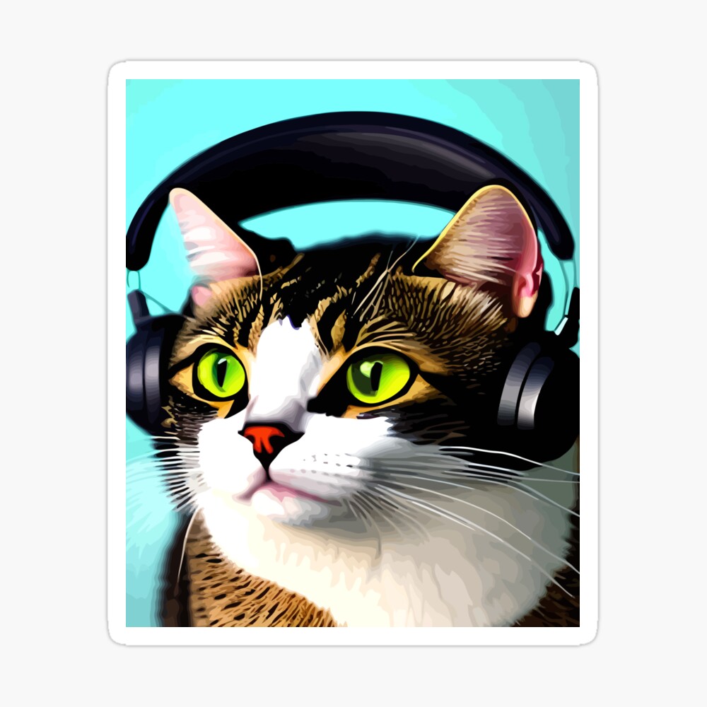 DJ kitty  MEOW hear this!