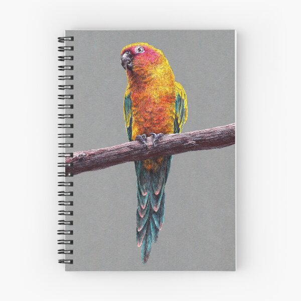 Item preview, Sun conure parrot bird illustration designed and sold by Adam Wróbel.