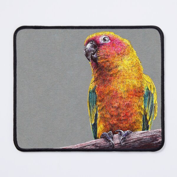 Item preview, Sun conure parrot bird illustration designed and sold by Adam Wróbel.