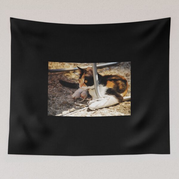 Item preview, Tortoise Shell Kitten  designed and sold by jojobob.