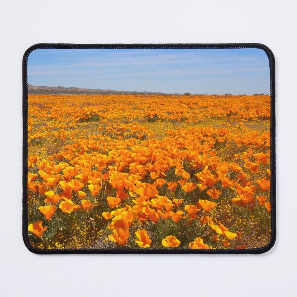 Item preview, Superbloom - California Poppies, Antelope Valley designed and sold by MH65Designs.