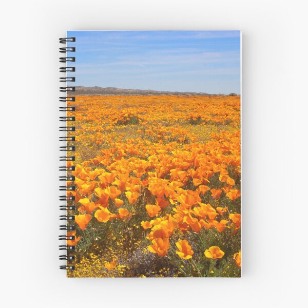 Item preview, Superbloom - California Poppies, Antelope Valley designed and sold by MH65Designs.