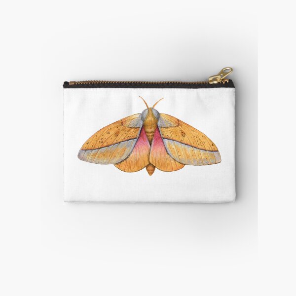 Item preview, Bisected Honey Locust Moth (Sphingicampa bisecta). designed and sold by JadaFitch.