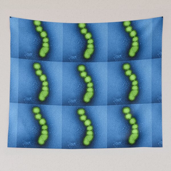 Item preview, Swine Flu Virus, Influenza TEM Micrograph, Blue and Green designed and sold by ScienceSource.
