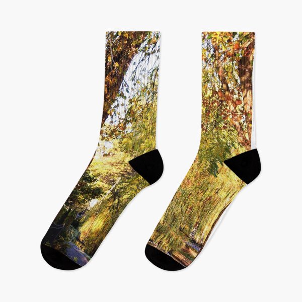Item preview, Bourton on the Water Autumn Trees Cotswolds UK designed and sold by AndyEvansPhotos.