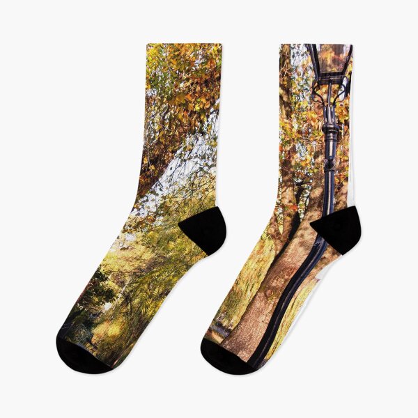Item preview, Bourton on the Water Autumn Trees Cotswolds UK designed and sold by AndyEvansPhotos.