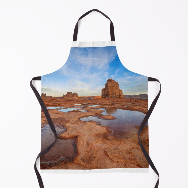 Item preview, Arches National Park After the Rain designed and sold by RondaKimbrow.