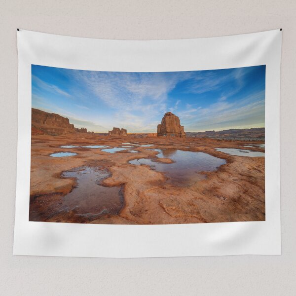 Item preview, Arches National Park After the Rain designed and sold by RondaKimbrow.