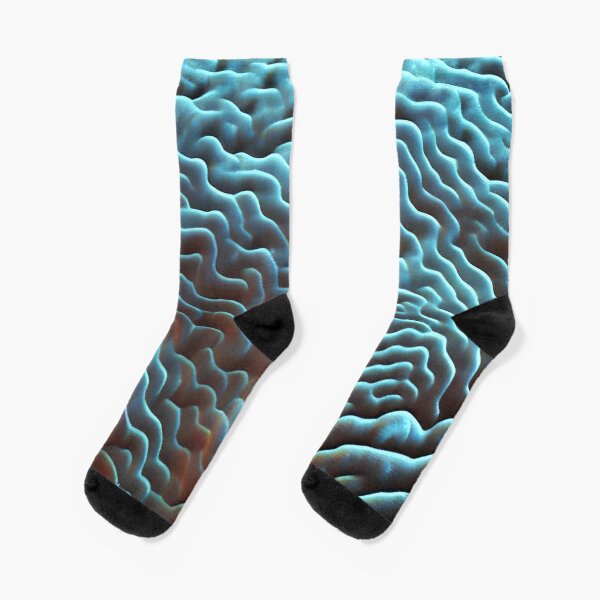 Coral Socks for Sale