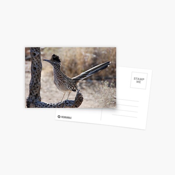Item preview, The Roadrunner  designed and sold by Judy Ann  Grant.