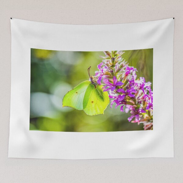 Item preview, A Brimstone Butterfly designed and sold by Jinxyboy1908.