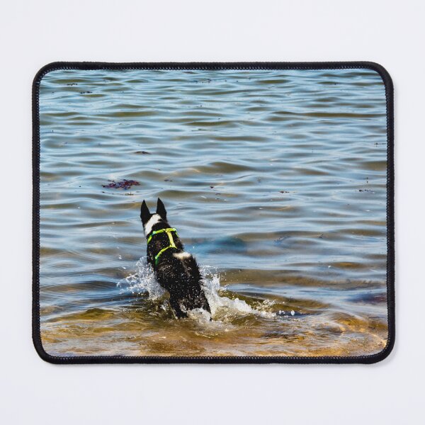 Item preview, North Berwick designed and sold by jasminewang.