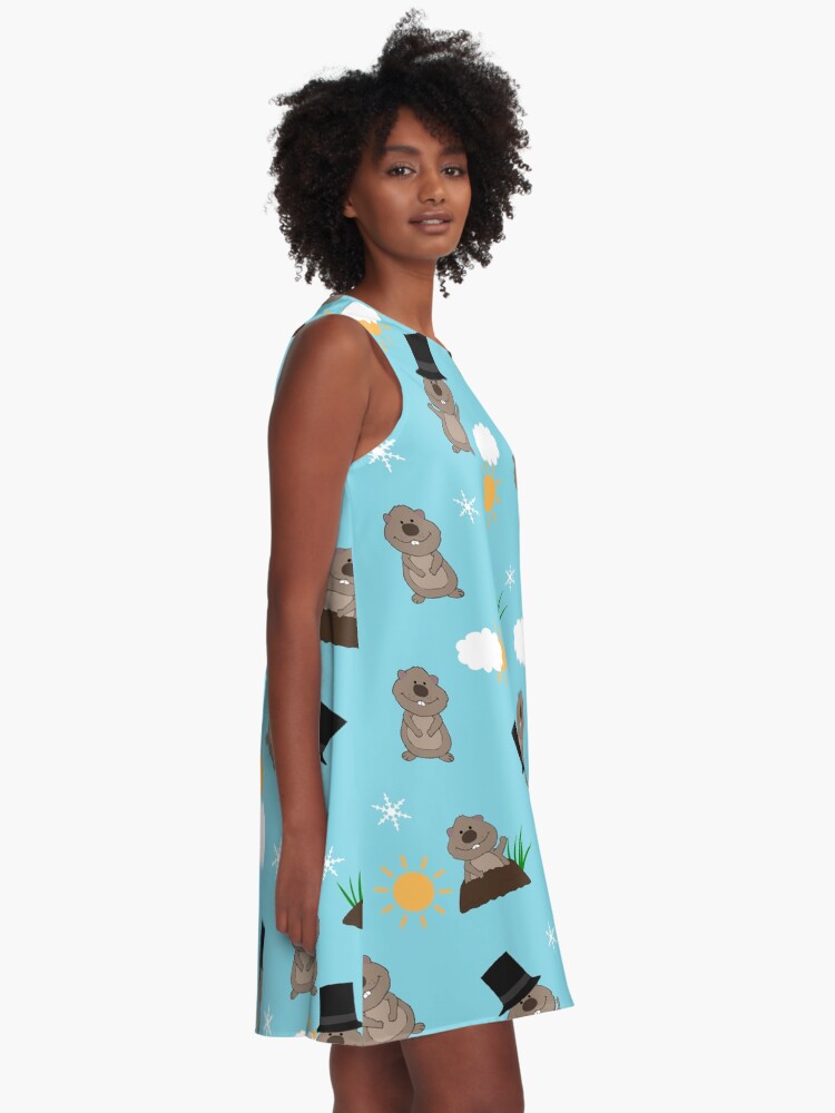 "Groundhog Day Pattern" ALine Dress by ValentinaHramov Redbubble