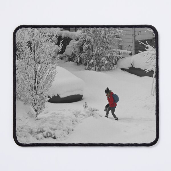 Item preview, After a Heavy Snowfall in Toronto March 3rd, 2023 designed and sold by Gerda Grice Photography.