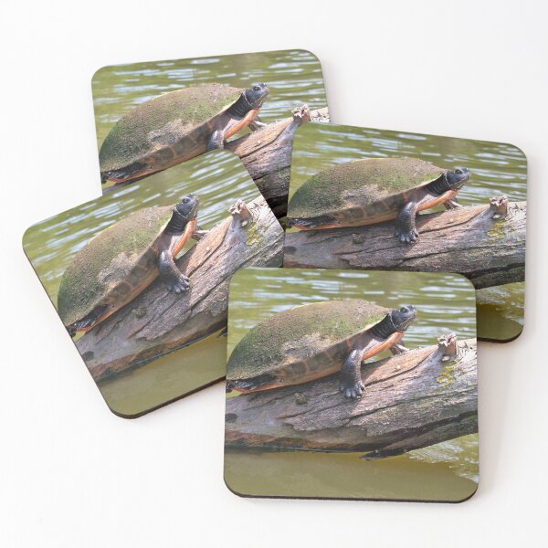 Item preview, Turtle designed and sold by searchlight.