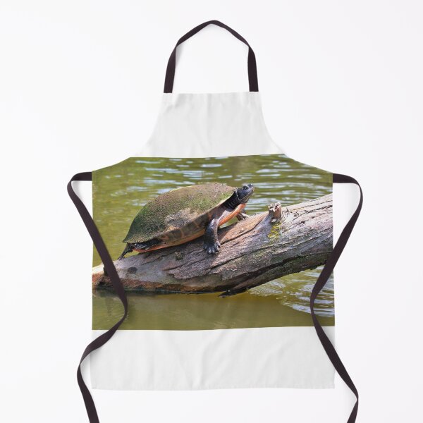 Item preview, Turtle designed and sold by searchlight.