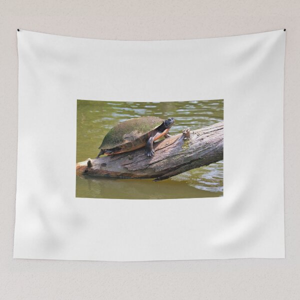 Item preview, Turtle designed and sold by searchlight.